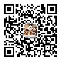 新年猴年蛋糕的做法图解30