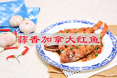 蒜香加拿大红鱼