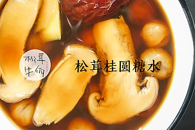 松茸桂圆糖水｜牛佤松茸食谱