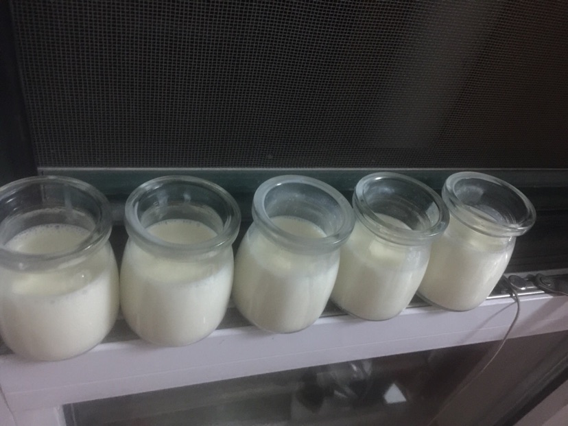 水果奶冻的做法图解1