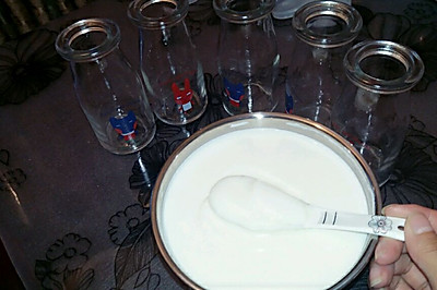 酸奶制作