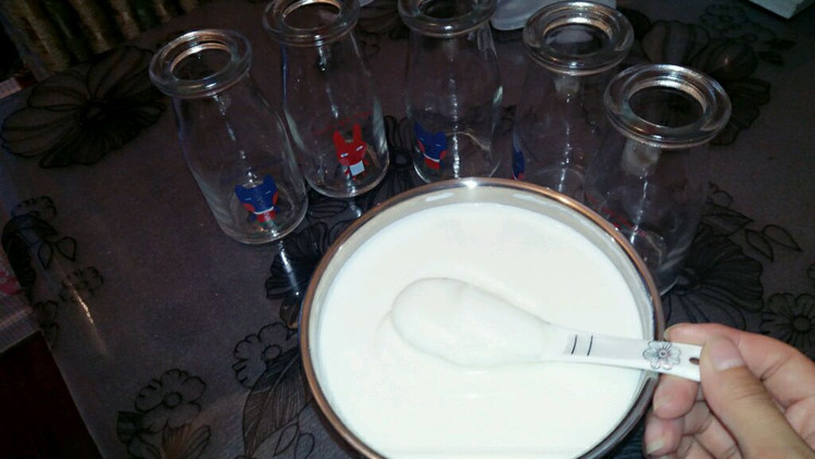酸奶制作的做法