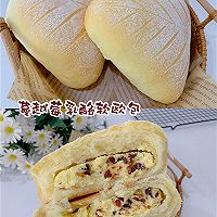 五星推荐蔓越莓乳酪软欧包的做法图解5