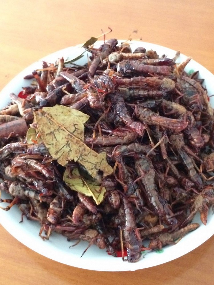 香炸蚱蜢的做法