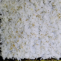 金枪鱼紫菜寿司卷的做法图解5