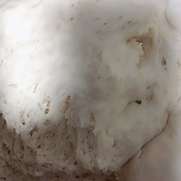 雪菜煎包的做法图解4