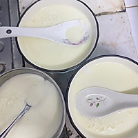 广式姜撞奶的做法图解3