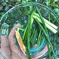 吸饱汤汁 牡蛎豆腐煲的做法图解3