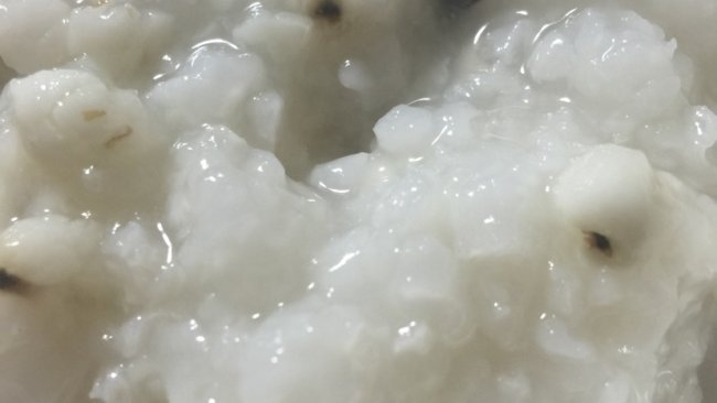 宿舍焖烧杯薏米粥的做法