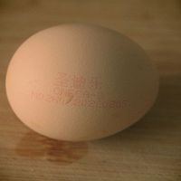 #未来航天员-健康吃蛋#简单营养的白煮蛋的做法图解3