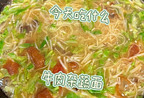 牛肉杂蔬汤面的做法