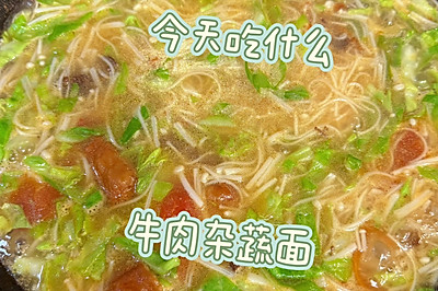 牛肉杂蔬汤面