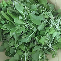 7月龄宝宝辅食之青菜鸡肉泥的做法图解6