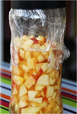 苹果天然发酵种液