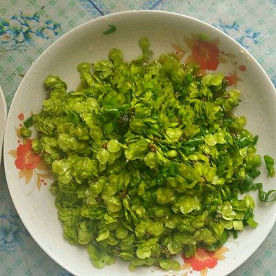 小葱拌榆钱