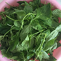 拌辣椒叶•凉拌菜的做法图解1