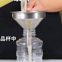 油柑津津茶的做法，【暴小兔茶饮】免费奶茶教程的做法图解13