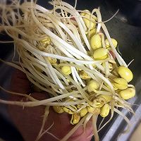 自发黄豆芽的做法图解3