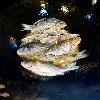 香煎淡水鱼--会做饭很酷的做法图解4