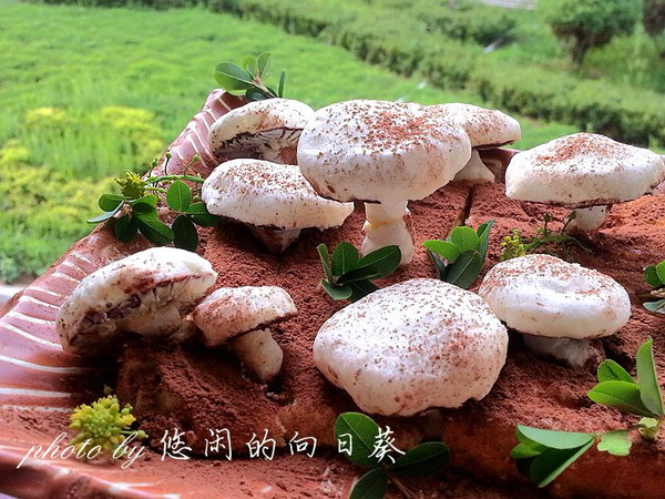 蛋白霜小蘑菇
