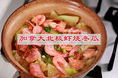 加拿大北极虾烧冬瓜