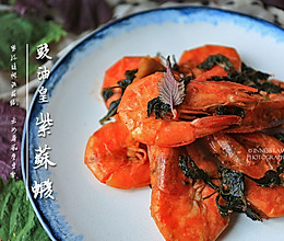 【豉油皇紫苏虾】最爱那一抹紫苏香的做法