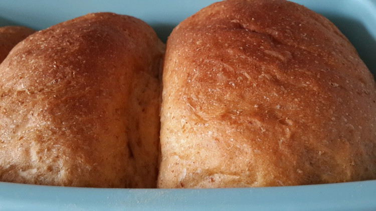 超软中种全麦吐司【冷藏发酵】♚面包机版的做法