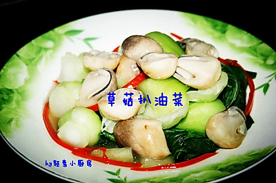 草菇扒油菜