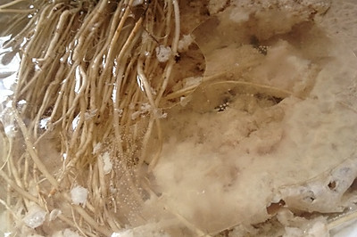 蒸龙须根肉泥水