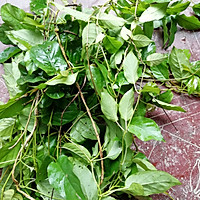 鸡屎藤算盘子（鸡矢藤、木薯粉，客家菜）的做法图解1