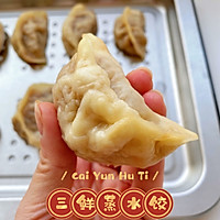 手工韭菜鸡蛋蒸饺的做法图解6