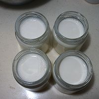 原味酸奶的做法图解5