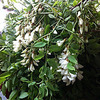 槐花美食的做法图解1