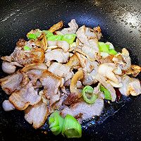 平菇炒肉的做法图解5