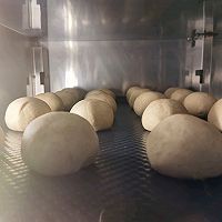 全麦贝果(波兰种)的做法图解5