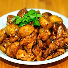 红烧板栗鸡块 金秋时节最应季的家常菜