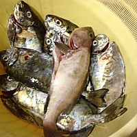 海鲜煲（泥鳗鱼海虾煲）的做法图解1