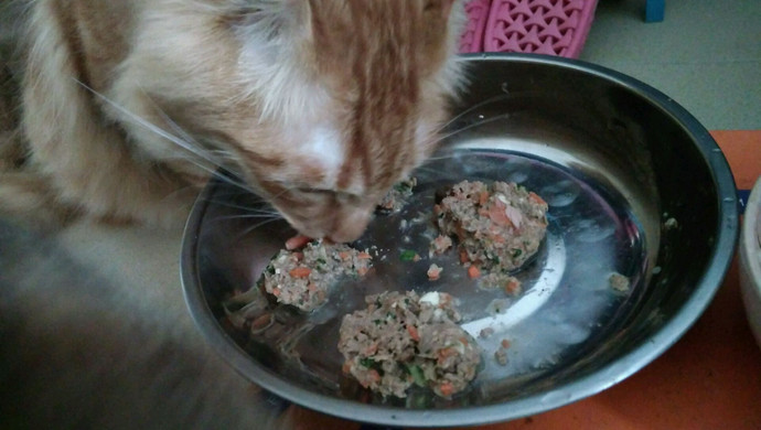 自制猫饭–鳕鱼猪肝美蔬，又名赛螃蟹猫饭