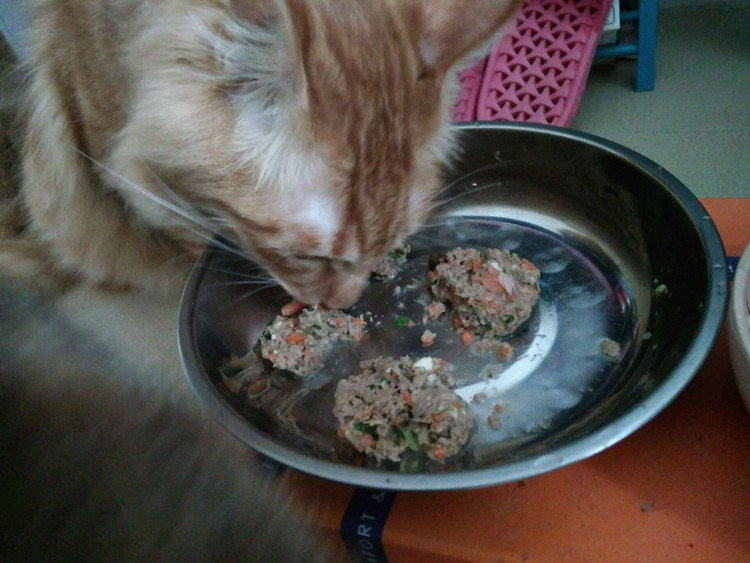 自制猫饭–鳕鱼猪肝美蔬，又名赛螃蟹猫饭的做法