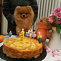 五层豪华宠物蛋糕狗狗美毛去泪痕的做法图解20