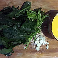 绿色健康菠菜面的做法图解8