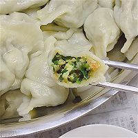 韭菜鸡蛋虾仁饺子的做法图解10