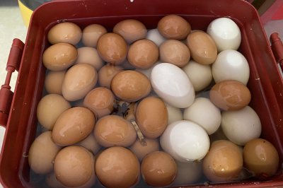 咸鹅蛋鸡蛋