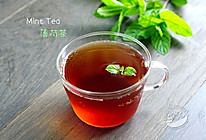 消暑饮品--薄荷茶的做法
