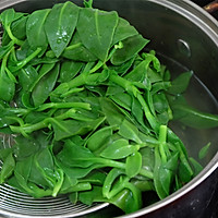 凉拌穿心莲的做法图解4