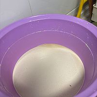 自制红薯淀粉，打凉粉的做法图解10