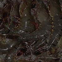 火焰虾的做法图解1