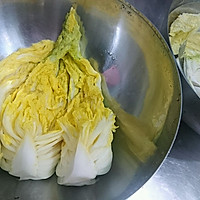 韩国泡菜的秘密【自制辣白菜】正宗发酵蜜桃爱营养师私厨的做法图解18