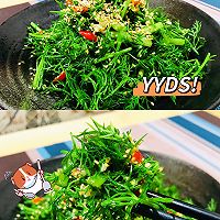 #我的女神“饭”儿#生拌芝麻茴香菜的做法图解5