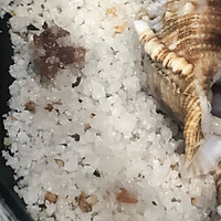 盐焗海螺的做法图解1